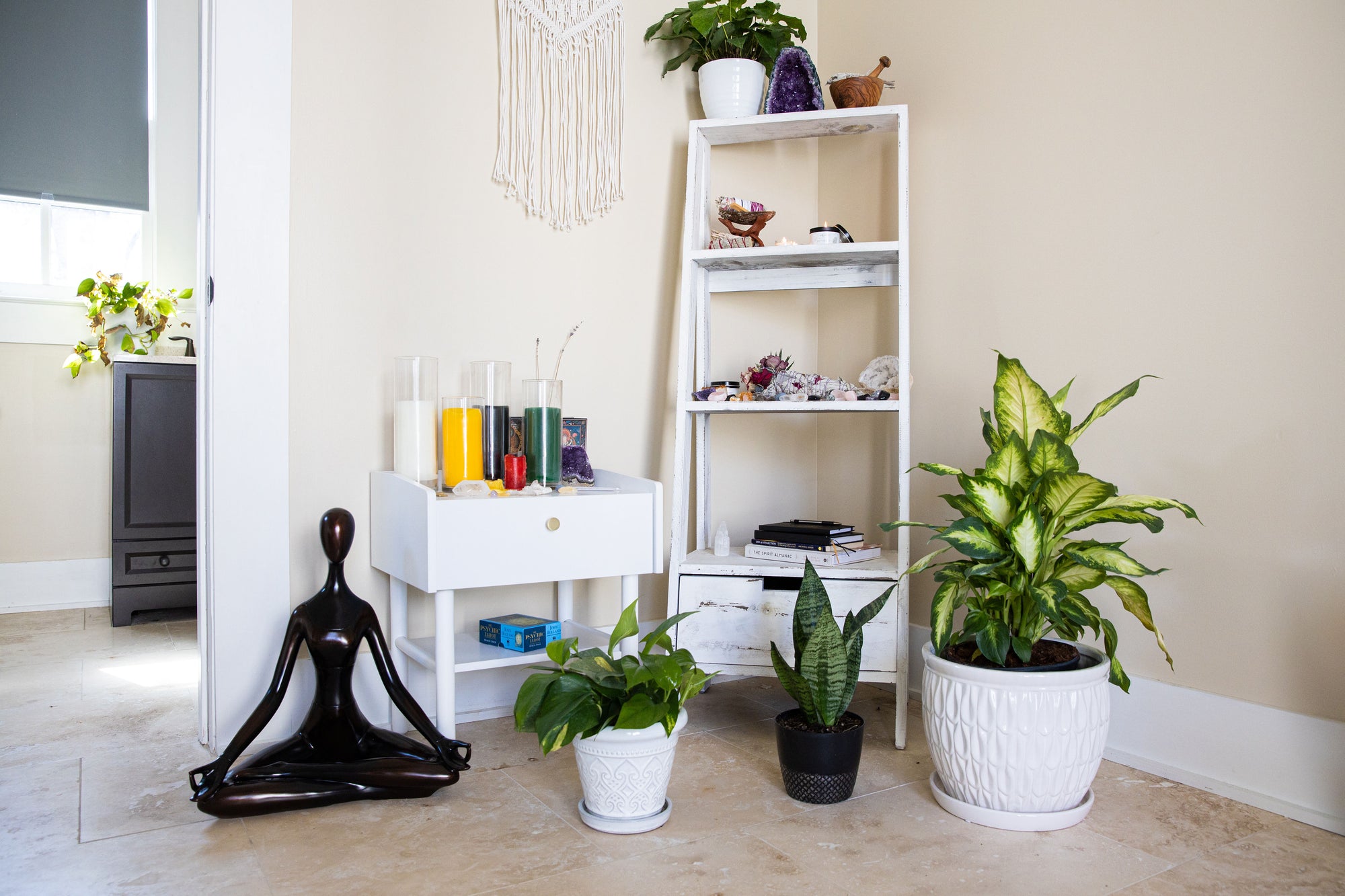
          4 Ways Plants Help Make Your Space Better
        